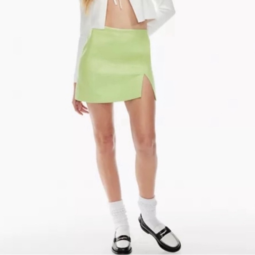 NWOT Aritzia Sunday Best Mini Skirt